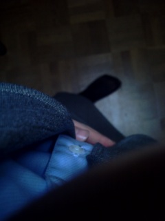�P�O�D�R�D�V