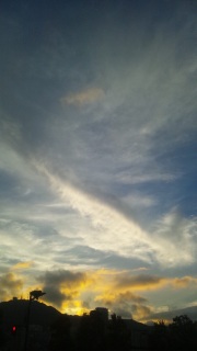 (untitled)