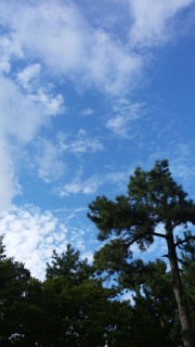 �J����������