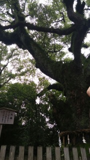 ���O�͔M�c�����ǌ��\������������